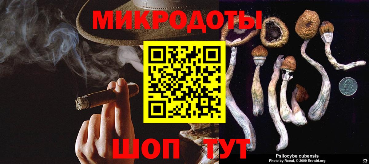 Галлюциногенные грибы мицелий  Вход с VPN  Сосновоборск 