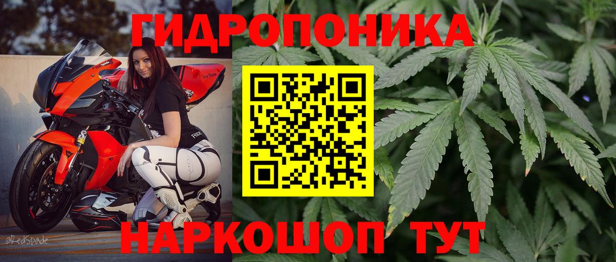 Канабис MAZAR  Канабис MAZAR  Бошки марихуана марихуана  Канабис план  Сосновоборск  Вход с VPN 